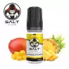 Mangue Ananas Salt E-Vapor 10ml 1622