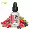Arôme Kro-Mignon Les Créations A&L 30ml 4852