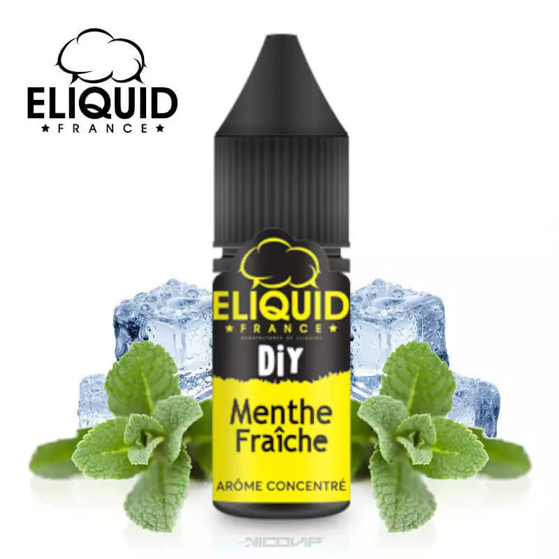 Arôme Menthe Fraîche DIY Eliquid France 10ml 2573