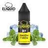 Arôme Menthe Fraîche DIY Eliquid France 10ml 2573