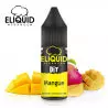 Arôme Mangue DIY Eliquid France 10ml 2580