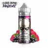 Antidote Cloud Vapor 100ml 5097