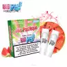 Pack 2 Cartouches Jus de Pastèque Big Puff Reload 6306