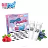 Pack 2 Cartouches Myrtille Framboise Big Puff Reload 6308