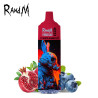 Puff Tornado 9000 Blueberry Pommegranate Randm