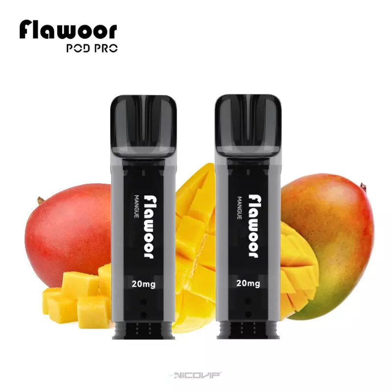 Pack 2 Pods Jetables Mangue Flawoor Pod Pro