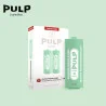 2 Recharges Puff Pastèque Melon Givrés Le Pod Switch Pulp 7546