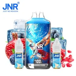 Kit Puff Blueberry Pomegranate Ice Falcon X 28000 JNR