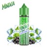 Mint Blackcurrant Mintaïa Eliquid France 50ml