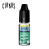 Menthe Polaire Sel de Nicotine 10ml Cirkus