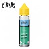 Menthe Xtra Givrée Cirkus VDLV 50ml avec nicotine