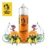 Sensations Orange Le Vapoteur Breton 50ml 2440 (R 64F)