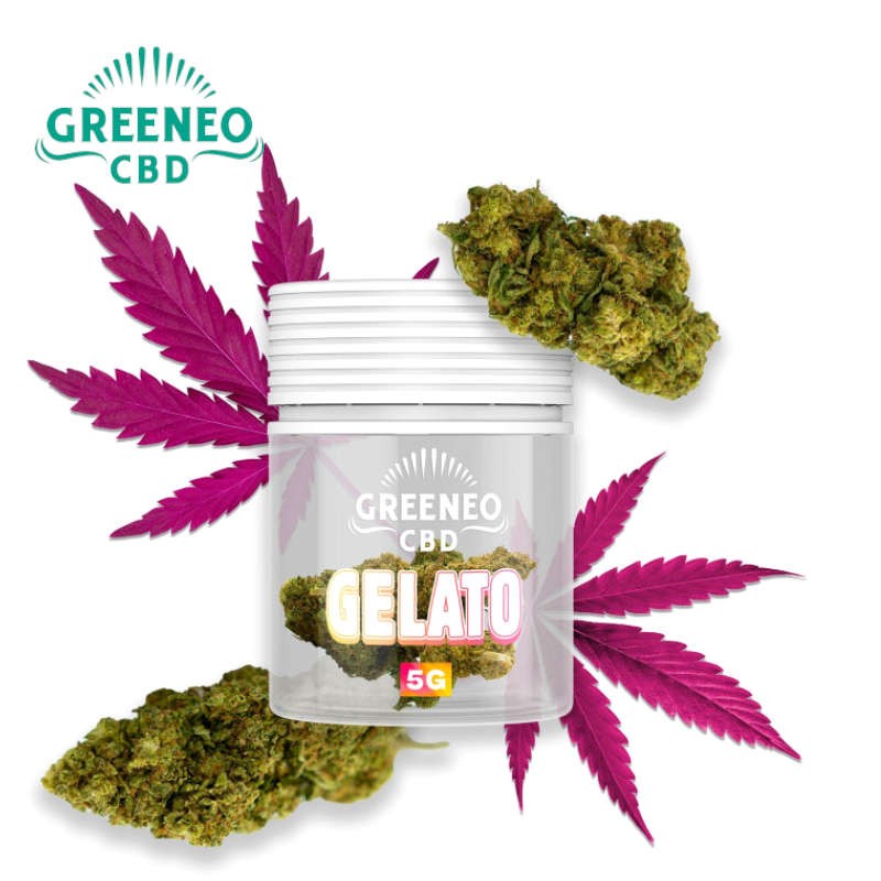 Fleur CBD Gelato Greeneo 5g