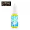 Fruizee Icee Mint Esalt 10ml