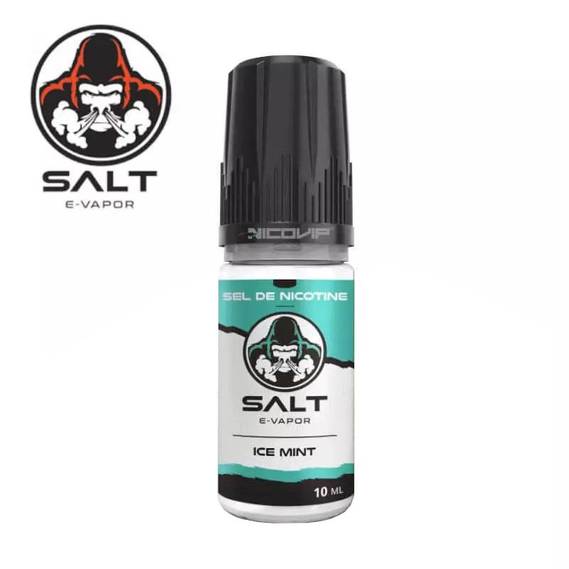 Ice Mint Salt E-Vapor 10ml