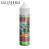Surfing Paradise California 50ml