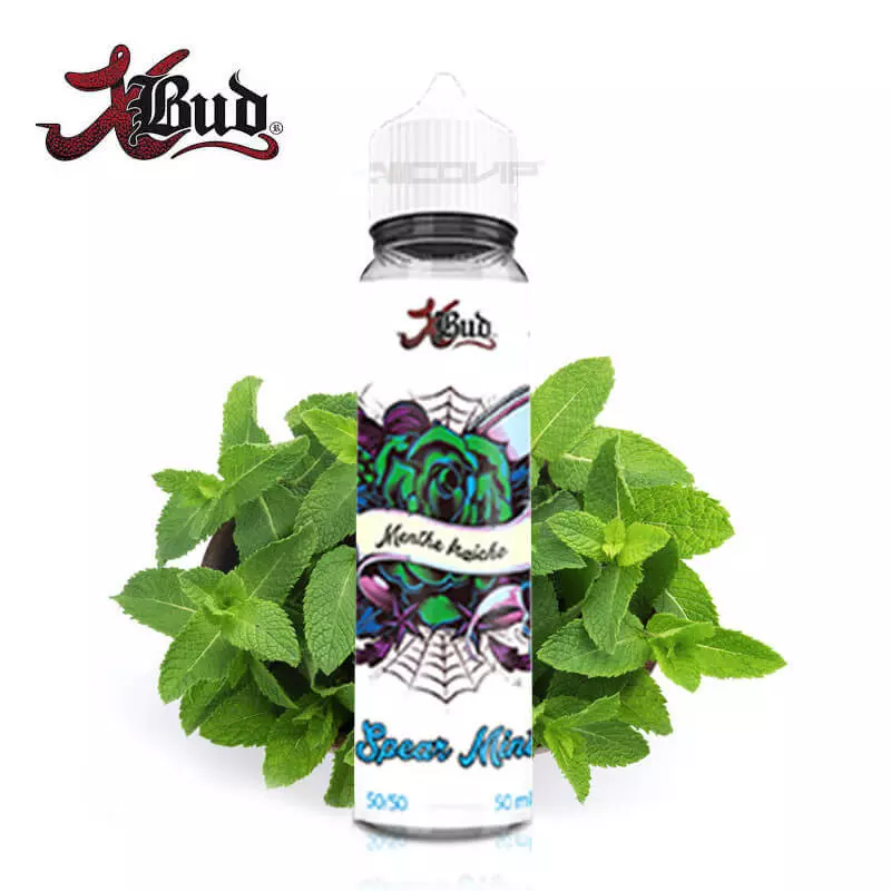 Spear Mint XBud 50ml 2930 (78A)