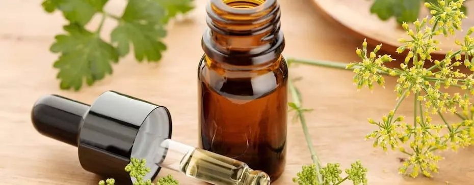 Comment doser l’huile CBD ?