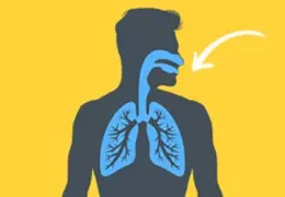 DL ou MTL : qu'est-ce que l'inhalation directe ou indirecte ?